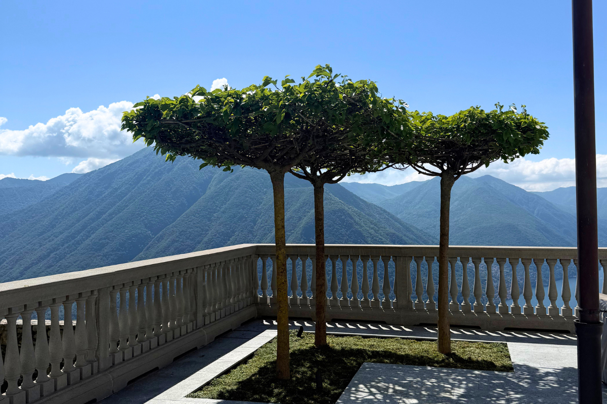 manutenzione alberi