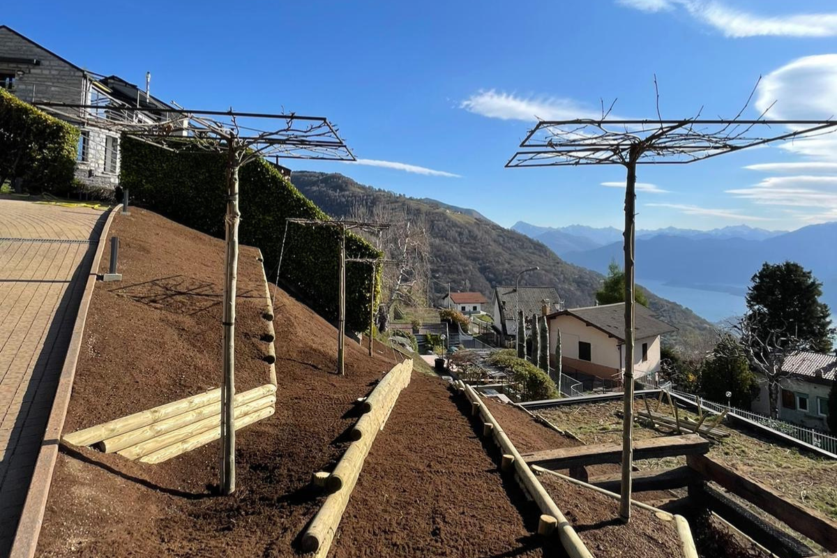 progettazione giardino