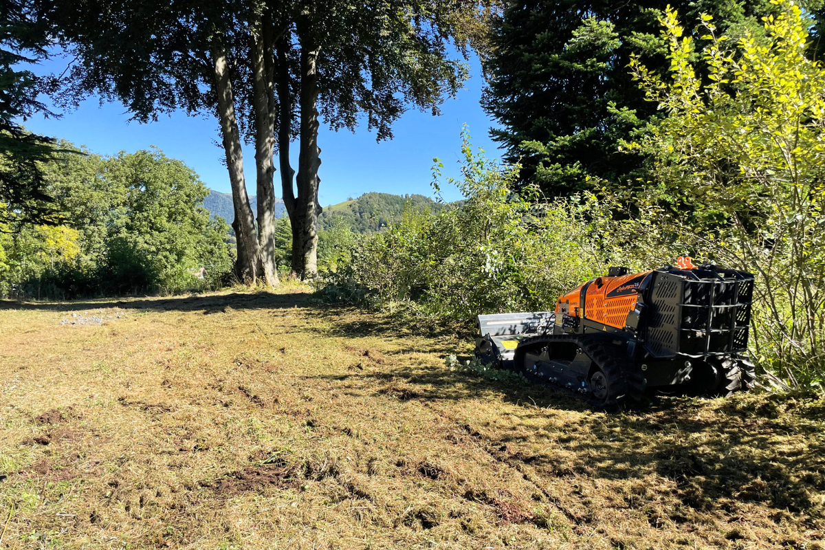 pulizia prato